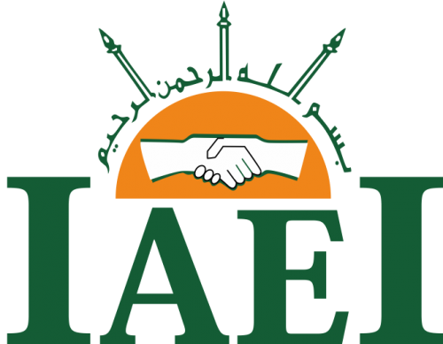 Logo-IAEI.png